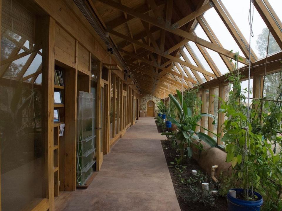 earthship interior with beams on the ceiling and an indoor garden