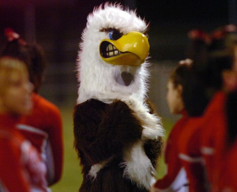 Smyrna's mascot does not appear too happy in a game at Sussex Tech.