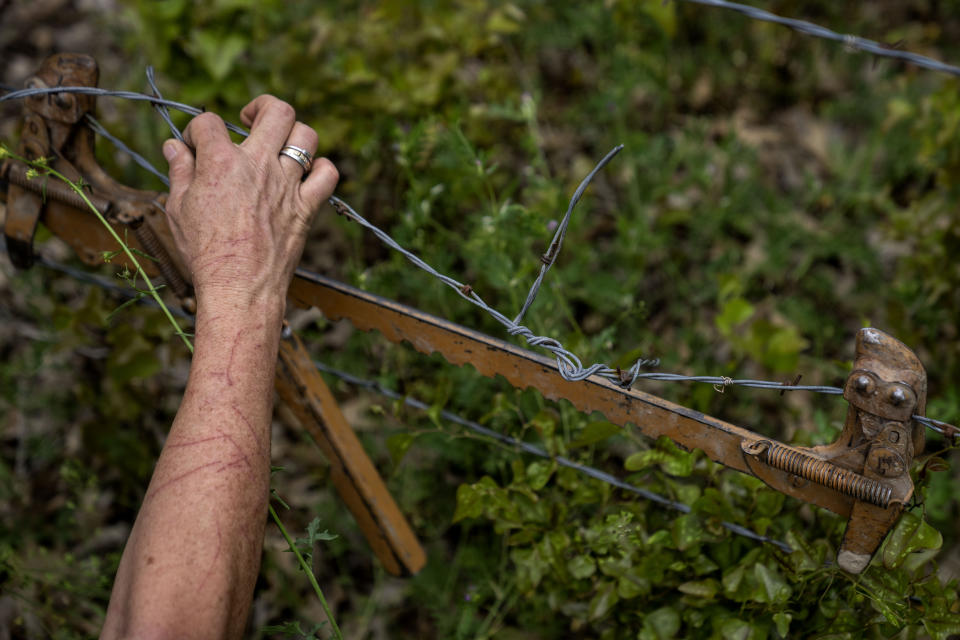 Meredith Ellis' forearm bears scratch marks as she fixes a barbed wire fence on her ranch in Rosston, Texas, Wednesday, April 19, 2023. (AP Photo/David Goldman)