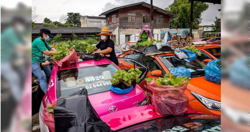 泰國計程車行突發奇想，改在車頂種菜維生。（圖／達志／美聯社）