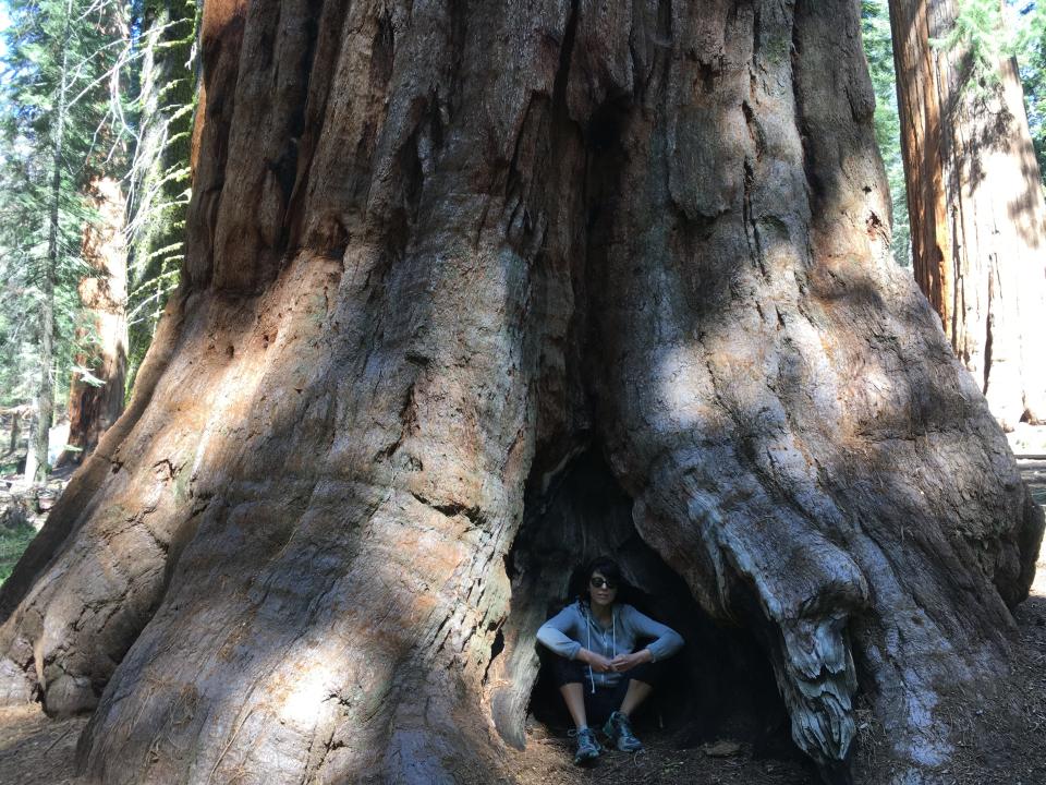 Lisa Wells at McKinley Grove in Sierra National Forest, California, in June 2017.