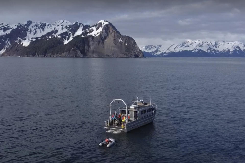 This April 28, 2022, photo provided by Ehsan Abdi shows the University of Alaska Fairbanks research vessel Nanuq in the Gulf of Alaska. The Nanuq helped with a project involving an underwater glider that was fitted with a special sensor, which was used to collect an enormous amount of data to study ocean acidification. (Ehsan Abdi via AP)