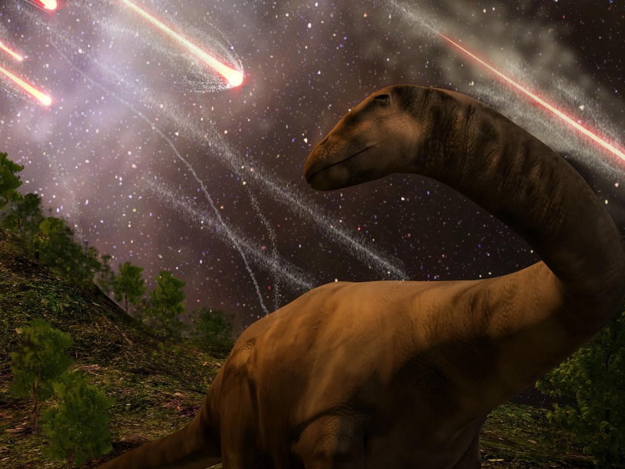 Dinosaurs were thriving before deadly asteroid strike wiped them out 66 million years ago, study suggests