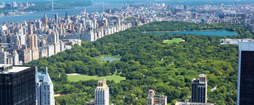 aerial view of Central Park high rises