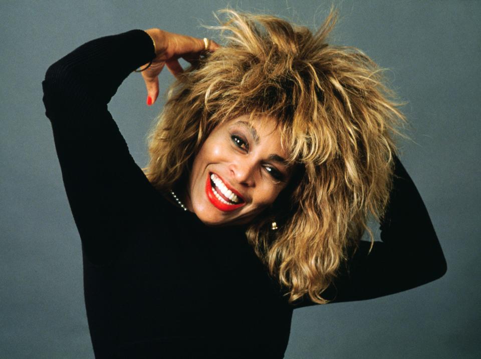 tina turner 1985