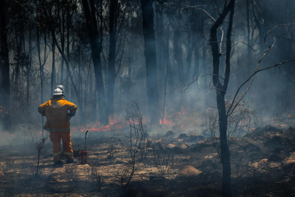 Australian Rural Fire Fighter observes fire damage