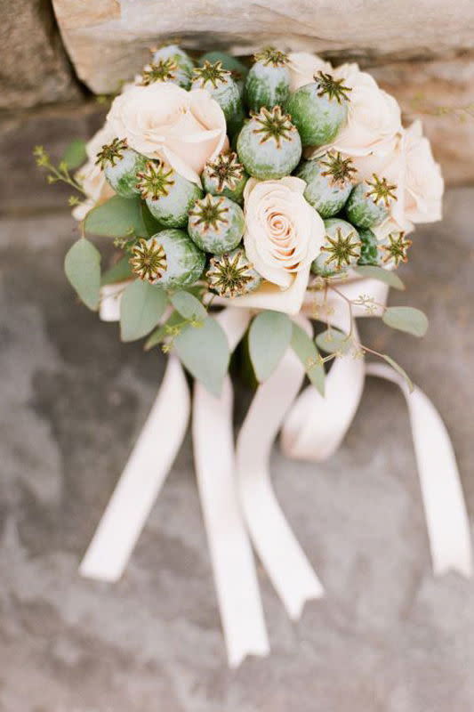 Baby Cactus and Roses