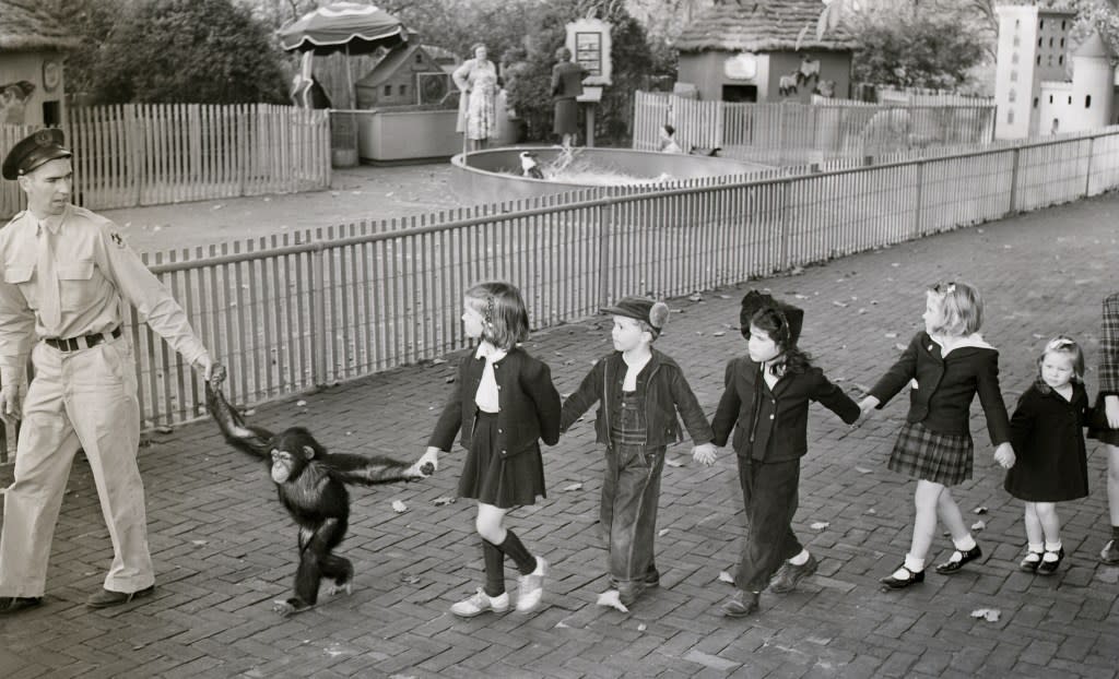 The children's zoo at the Bronx Zoo opens on April 1, 1943. Bettmann Archives