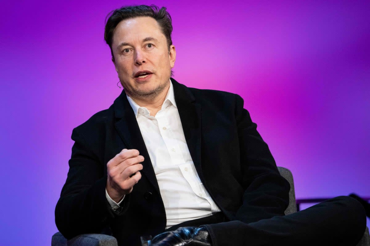 Elon Musk  (TED Conferences, LLC/AFP via Get)