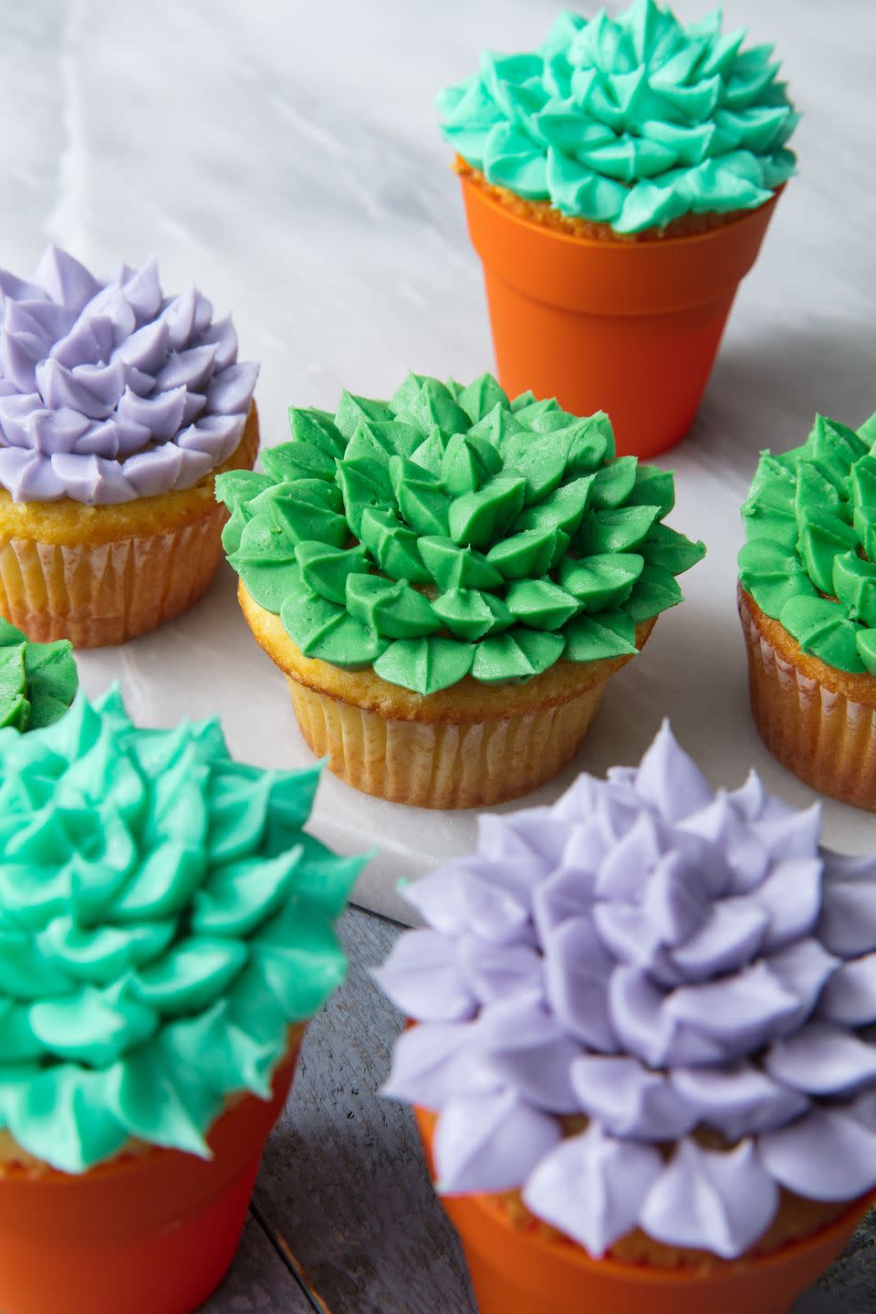 Succulent Cupcakes