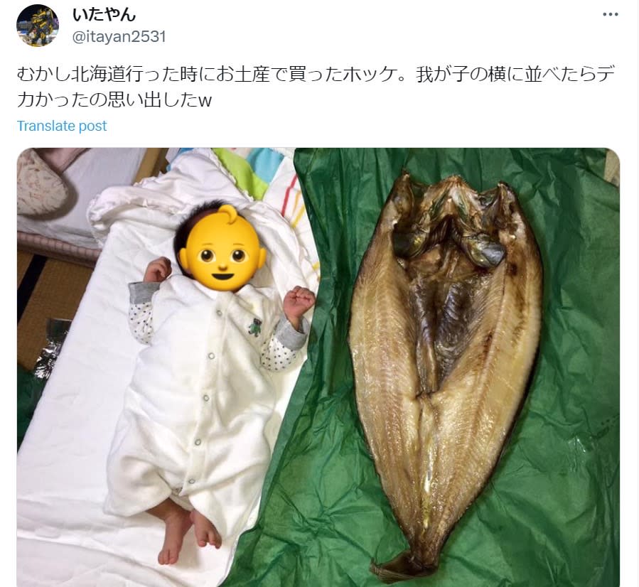 比嬰兒還大！他曬北海道「巨無霸超狂魚乾」　全網驚呆：以為是合成照