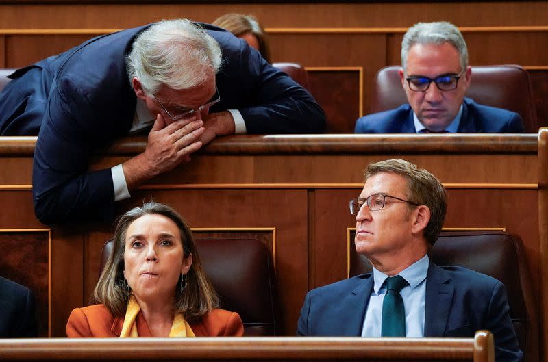 Spanish Congress debates amnesty bill