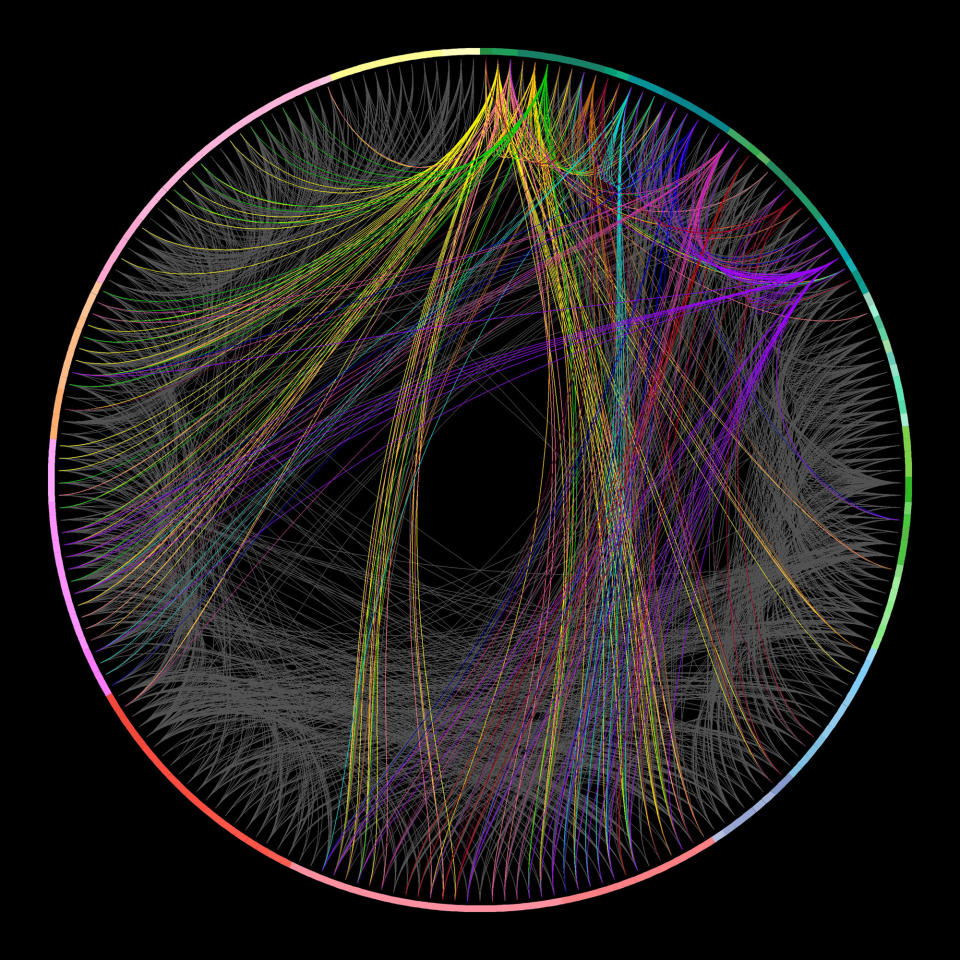 This image provided by the Allen Institute for Brain Science on March 28, 2014 shows a circular wiring diagram of connections among 215 distinct regions throughout the mouse brain. Connections originating from 11 cortical regions are highlighted in different shades of colors, with the rest shown in gray. The research published Wednesday, April 2, 2014 is the first brain-wide wiring diagram for a mammal at such a level of detail. While it does not reveal every connection between each of the rodent's 75 million brain cells, it shows how parts of the brain are connected. (AP Photo/Allen Institute for Brain Science)