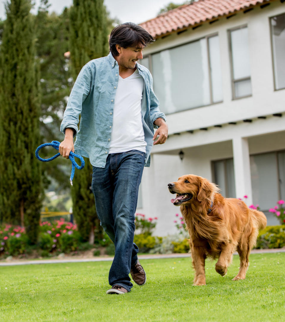 Man playing with dog