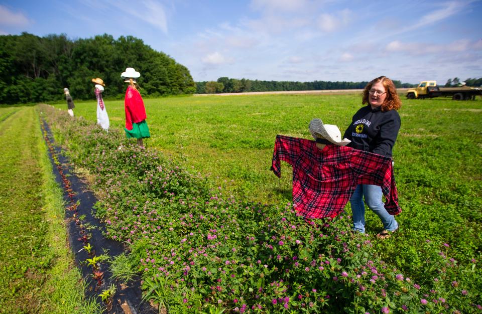Melissa Ripley talks about a scarecrow that helps keep deer away from the flowers on Thursday, June 9, 2022, at Field to Vase U-Pick Flowers in New Carlisle.