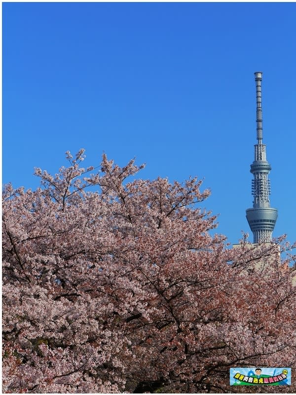 東京｜猿江恩賜公園