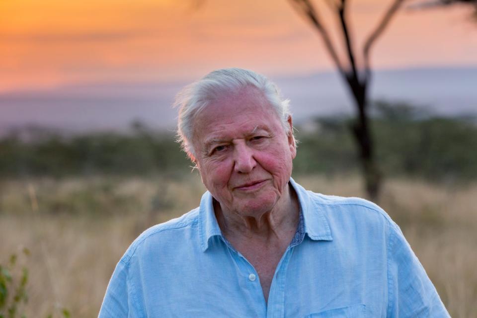 Narrator: Sir David Attenborough will provide the voiceover for Our Planet (Netflix)