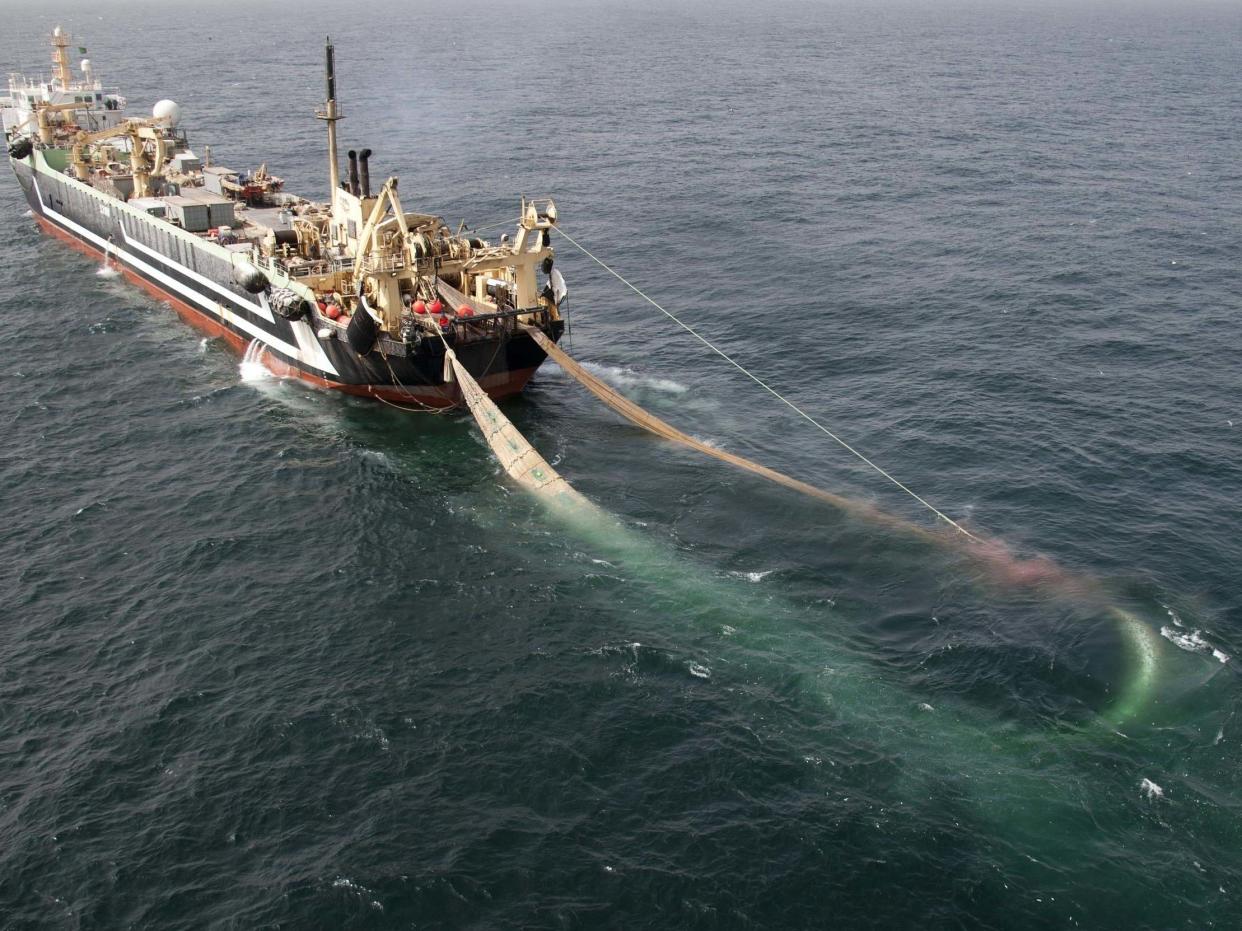 The world's second largest factory fishing trawler, the Lithuanian FV Margiris: PA