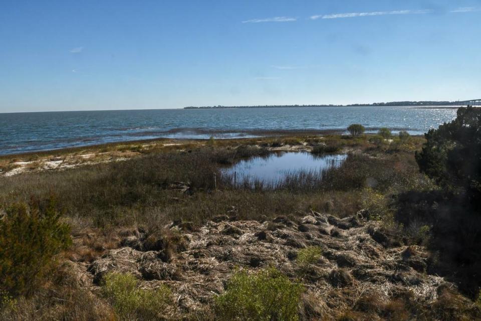 A recent winter storm at the Coffin Point home of Carolyn Jebaily pushed large amounts of cordgrass rack into her front yard as photographed on Jan. 30, 2024, breaching the dunes that help protect her stilted home from high tides on St. Helena Island. Harbor Island, which is experiencing severe erosion, can be seen on the horizon.