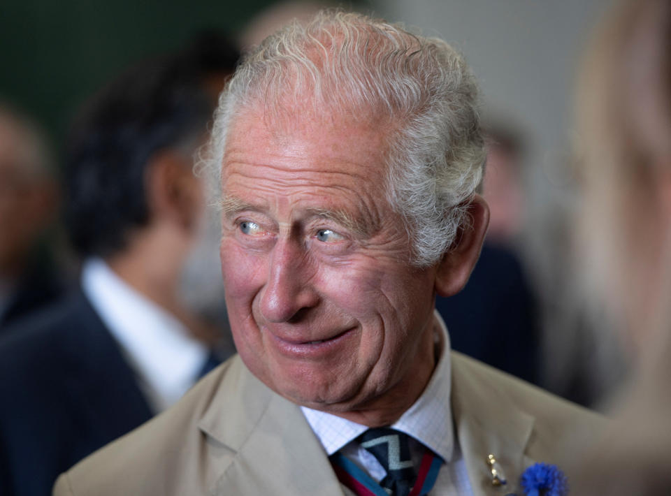 Prinz Charles könnte auch ein anderes Schloss als den Buckingham Palace zu seiner Residenz machen. (Foto: Reuters)
