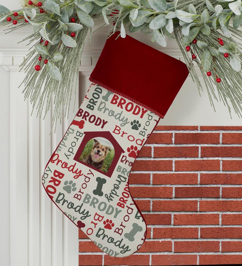 <p><a href="https://go.redirectingat.com?id=74968X1596630&url=https%3A%2F%2Fwww.1800flowers.com%2FRepeating-Pet-Name-Personalized-Photo-Christmas-Stocking&sref=https%3A%2F%2Fwww.womansday.com%2Flife%2Fpet-care%2Fg45524664%2Fbest-dog-christmas-stocking%2F" rel="nofollow noopener" target="_blank" data-ylk="slk:Shop Now;elm:context_link;itc:0;sec:content-canvas" class="link ">Shop Now</a></p><p>Repeating Pet Name and Photo Stocking</p><p>1800flowers.com</p><p>$19.99</p><span class="copyright">1800 Flowers</span>