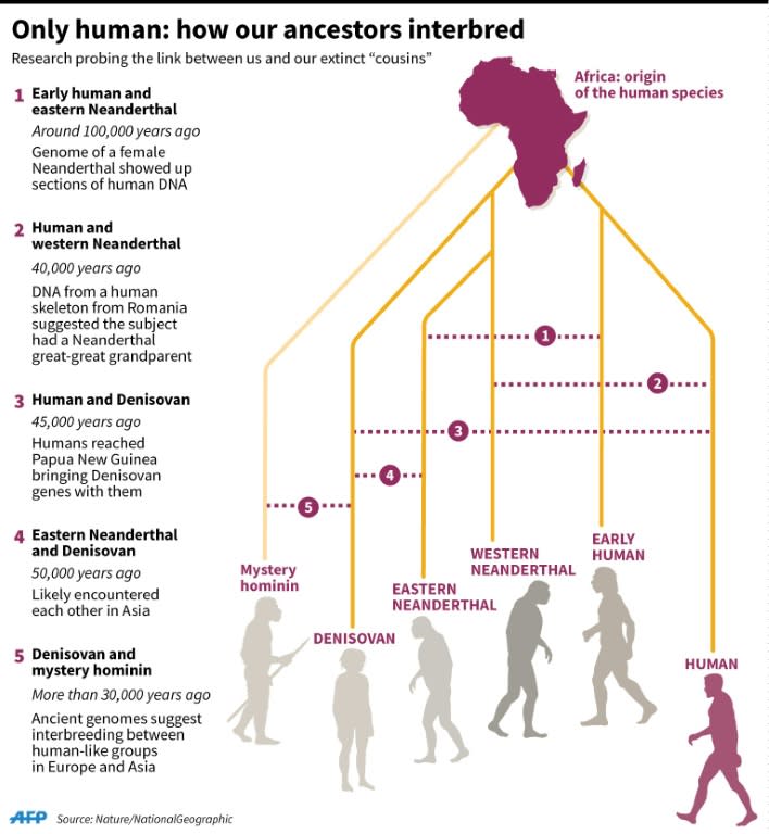 Only human: how our ancestors interbred