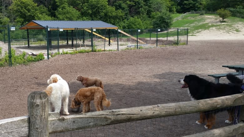 Dog walkers frustrated with $135K dog park shelter 'marred by problems'