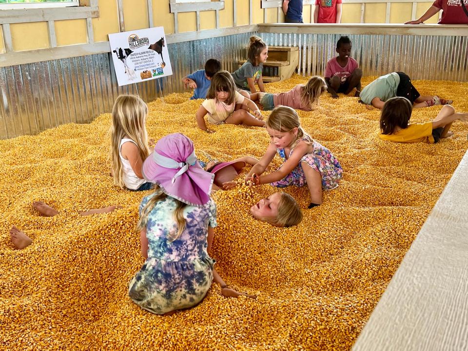 Children play in the "corn pit," a new feature at this year's second annual Homestead Festival.