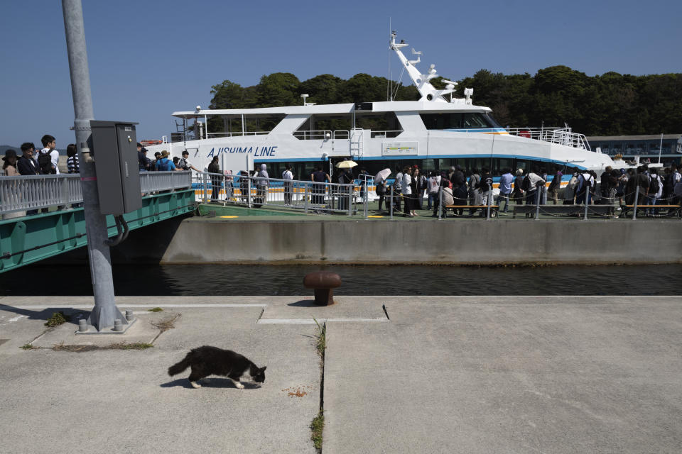 Tourists stand in line before boarding a ferry at Nitoda Port to leave Tashirojima island as a cat finds food, in Ishinomaki, northeast of Japan, Saturday, May 18, 2024. (AP Photo/Hiro Komae)