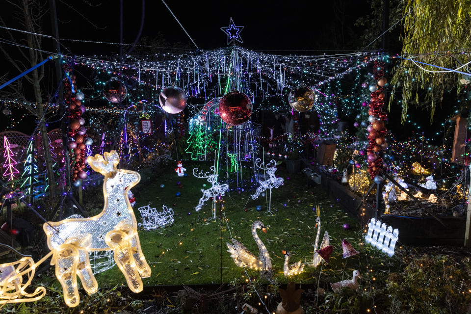 Nigel Watkinson's garden in Scarborough, North Yorkshire