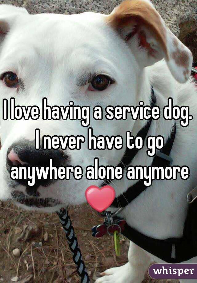 I love having a service dog. I never have to go anywhere alone anymore ❤