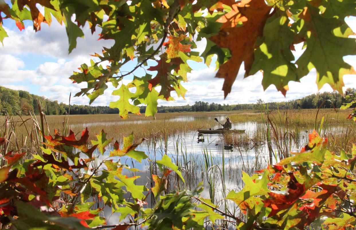 In a reversal of a policy announced earlier this month, waterfowl hunters will be allowed to bring birds harvested in Canada into the U.S., according to a Sept. 12 statement from the U.S. Department of Agriculture.