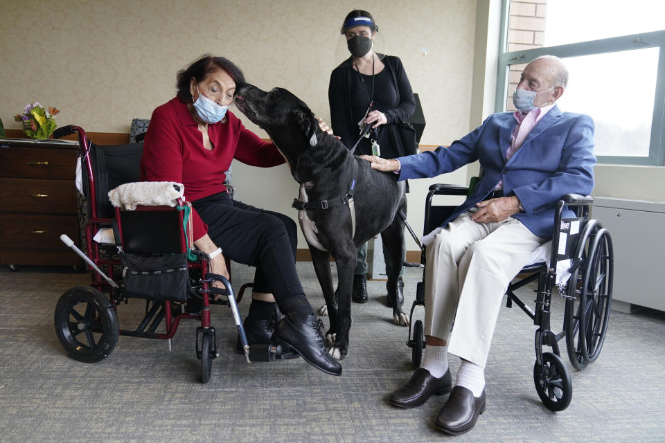 Sal Markowitz, 96, right, and Sandra Greer, 82, left, visits with Marley, a Great Dane, while therapeutic activities director Catherine Farrell looks on at The Hebrew Home at Riverdale in New York, Wednesday, Dec. 9, 2020. New dog recruits are helping to expand the nursing home's pet therapy program, giving residents and staff physical comfort while human visitors are still restricted because of the pandemic. (AP Photo/Seth Wenig)