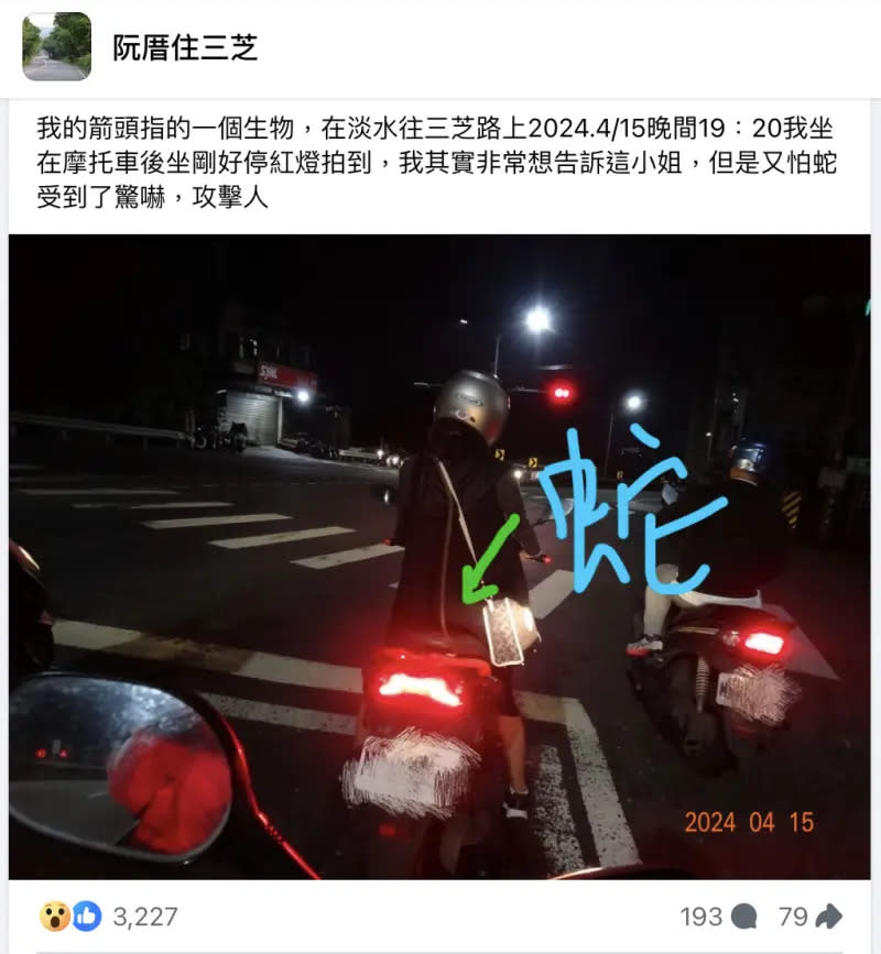 ▲原PO後製一個箭頭指向女騎士背部，一條蛇正攀爬在女騎士身上。（圖／翻攝自臉書社團「阮厝住三芝」）