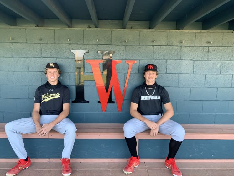 Harvard-Westlake has three alumnus as starting pitchers in the big leagues and these two freshmen.