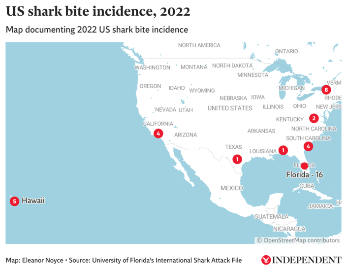 Map documenting US shark bite incidence in 2022 (The Independent/Datawrapper)
