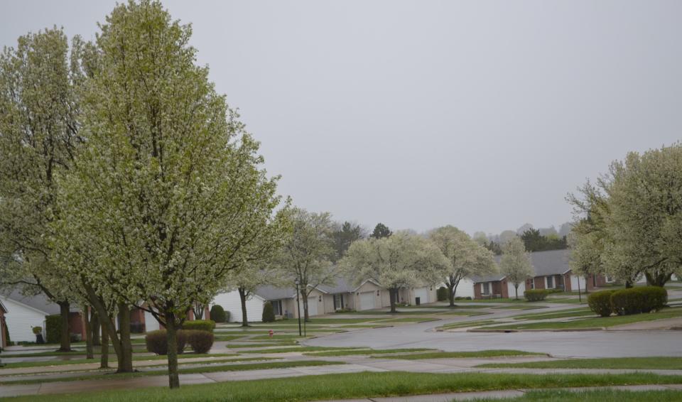 While Bradford pears remain prevalent in many neighborhoods, in January of 2018 this ornamental tree was placed on the invasive species list in Ohio.