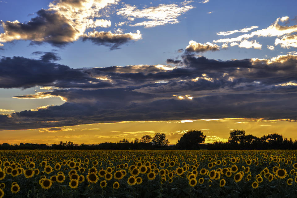 As well as being a source of inspiration for Van Gogh, Arles in France was the site of Gucci's summer 2019 show and is also home to the Luma Arts Centre. A great option for artistically-minded travellers. You can stay at the <a href="https://www.i-escape.com/grand-hotel-nord-pinus" rel="nofollow noopener" target="_blank" data-ylk="slk:Grand Hotel Nord-Pinus;elm:context_link;itc:0;sec:content-canvas" class="link "><strong>Grand Hotel Nord-Pinus</strong></a>, where Picasso once lived, for £85 a night. <em>[Photo: Getty]</em>