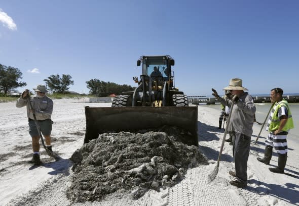 Florida red tide 8-2018