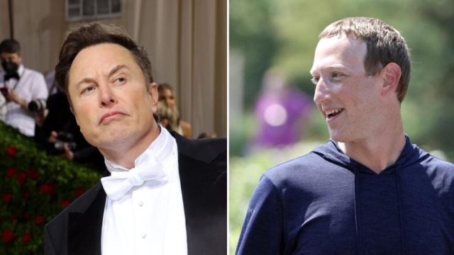 Elon Musk vs Mark Zuckerberg: Odds markets just flipped - Elon