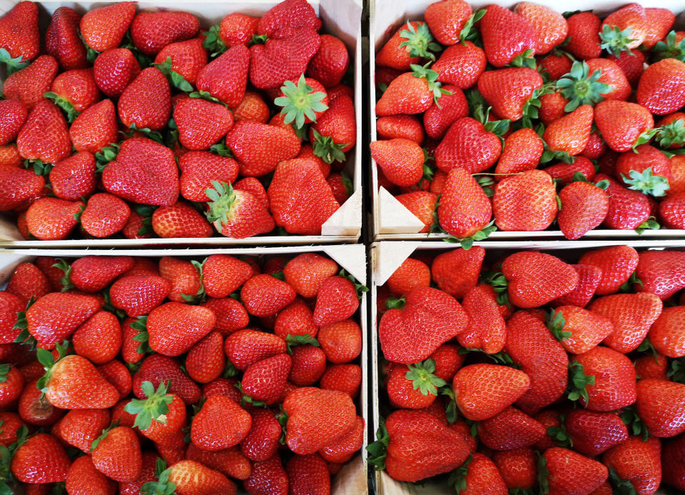 Mittels einer neuen Methode kann die Haltbarkeit von Obst und Gemüse um das Dreifache verlängert werden: bei frischen Erdbeeren etwa um eine ganze Woche. (Symbolbild: Getty Images/Luis Diaz Devesa)