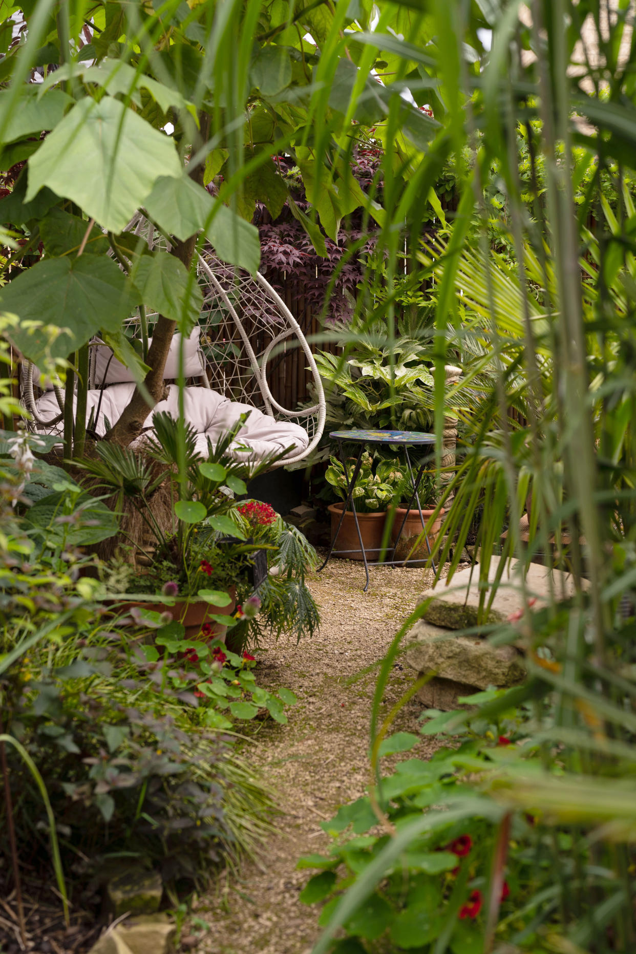 The garden is full of unusual tropical plants sourced from specialists.  (Caters)