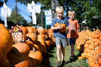 Children choose pumpkins in 2017 at Abernethy United Methodist Church, Patton Avenue, Asheville. Pumpkins will be sold through October this year at Abernethy UMC as well as other Methodist churches.