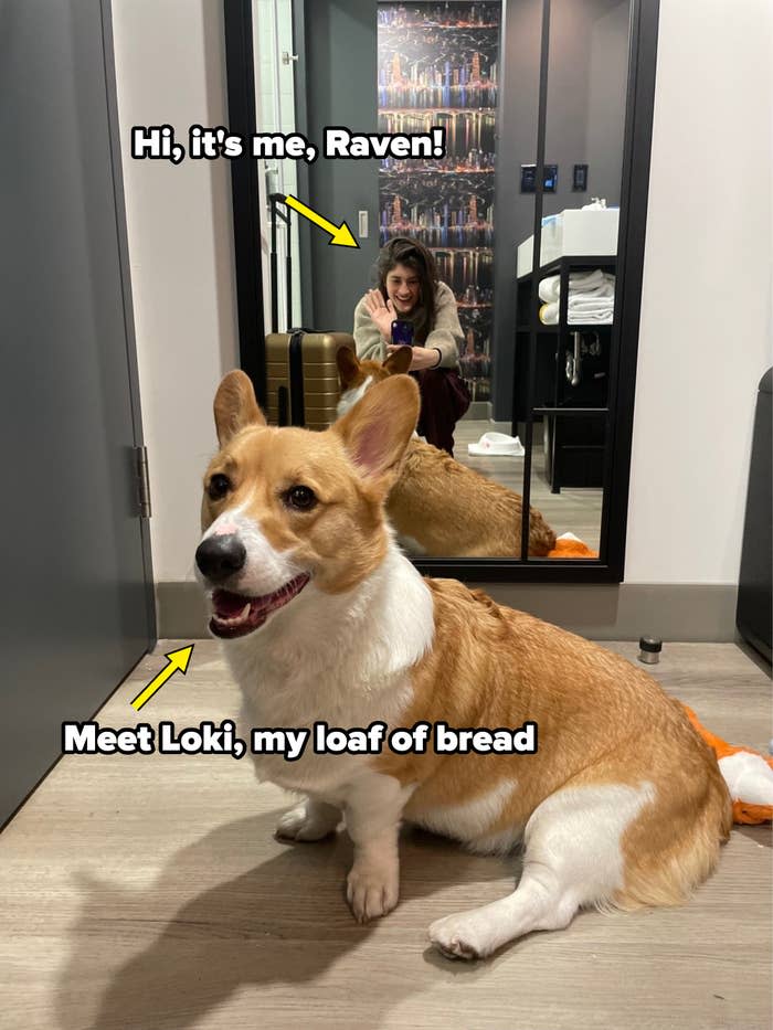 Woman sitting on floor smiling, reflected in mirror, with a Corgi dog in the foreground