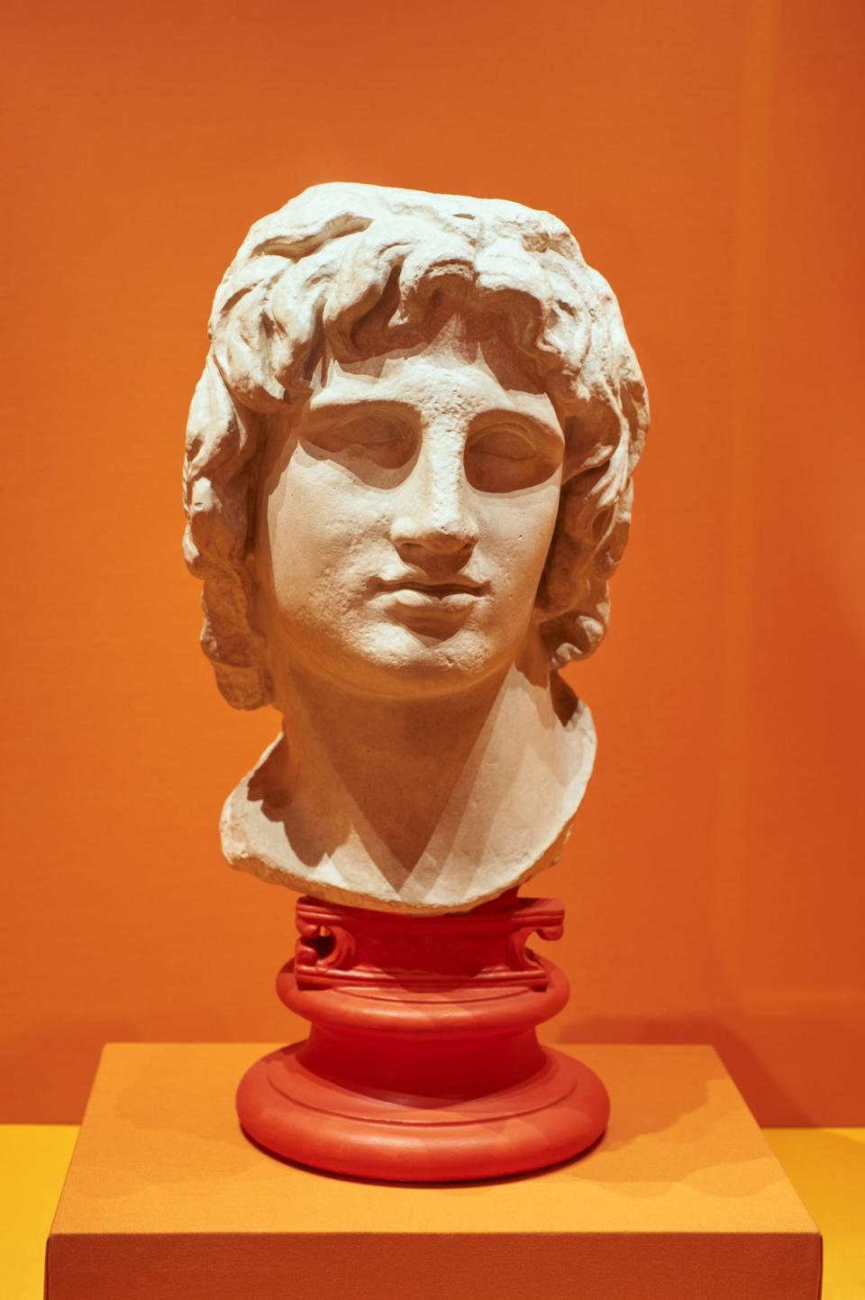 A bust of Alexander the Great (Museum of Classical Archaeology, Cambridge)