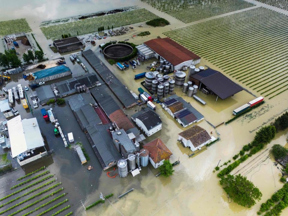 An aerial view shows a flooded pig farm in the town of Lugo (AFP via Getty Images)