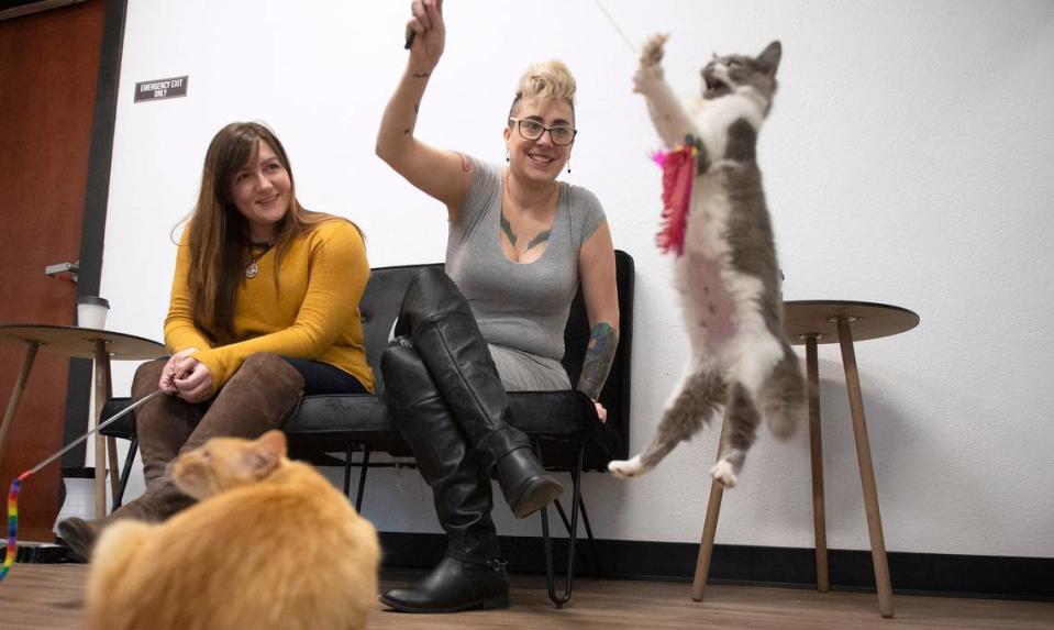 Valerie Beerbower (left) of Lacey and Braxtin Angelo of Bonney Lake meet up to play with felines at Catffeinated cat cafe on Sixth Avenue in Tacoma on Tuesday, Dec. 17, 2019. Customers can sip coffee and tea drinks as they interact with adoptable cats and kittens. “This is the best Tuesday ever,” Angelo said.