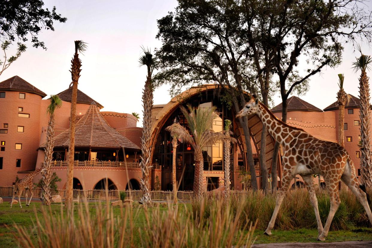 DVC members can see animals while staying at Disney's Animal Kingdom Villas at Disney World.
