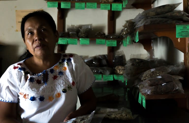 Maria de Jesus Patricio, an indigenous healer from the Nahuatl ethnic group, at her clinic in Tuxpan, Jalisco State, western Mexico