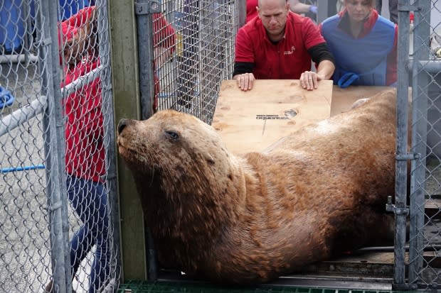 Vancouver Aquarium Marine Mammal Rescue Centre